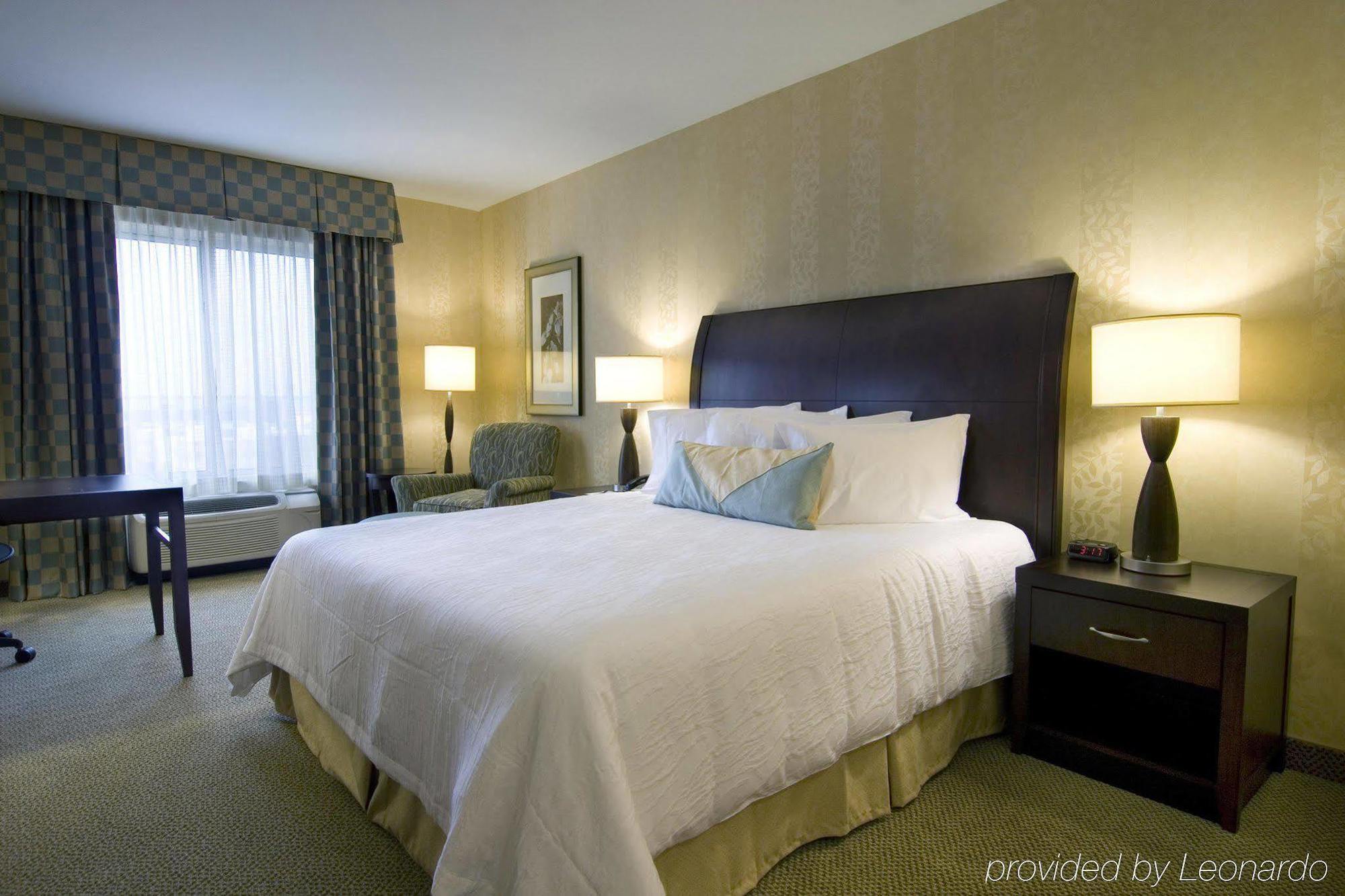 Hilton Garden Inn Detroit/Новай Номер фото
