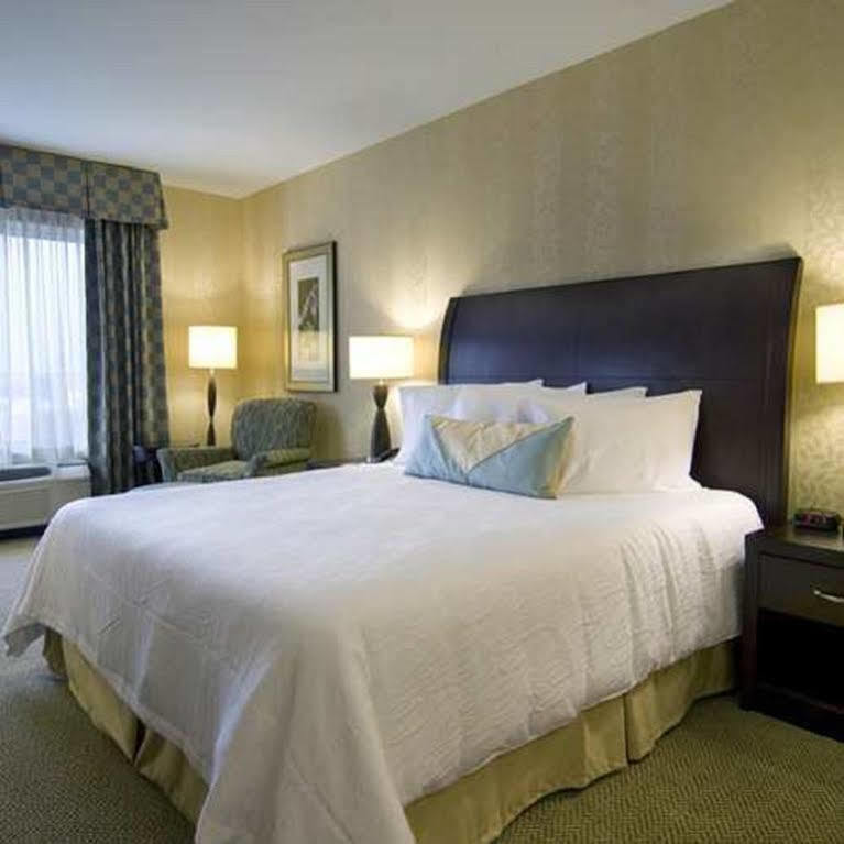 Hilton Garden Inn Detroit/Новай Екстер'єр фото